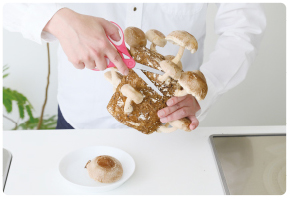 パソコン用の画像